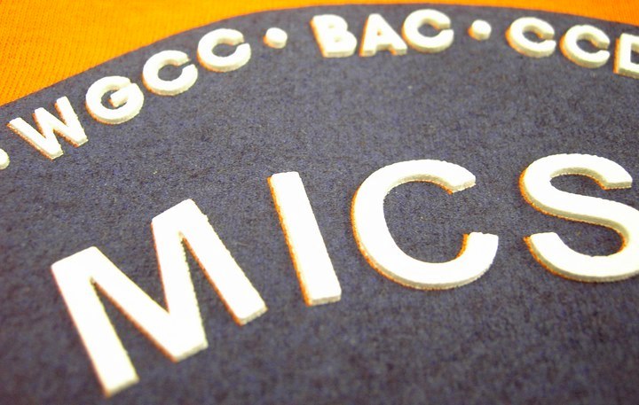 MICSA Swimming Graphic Additional